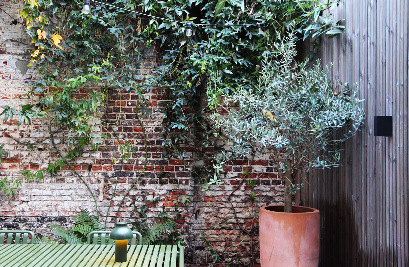 Groene beplanting op authentieke naakte muur in stadstuin Gent